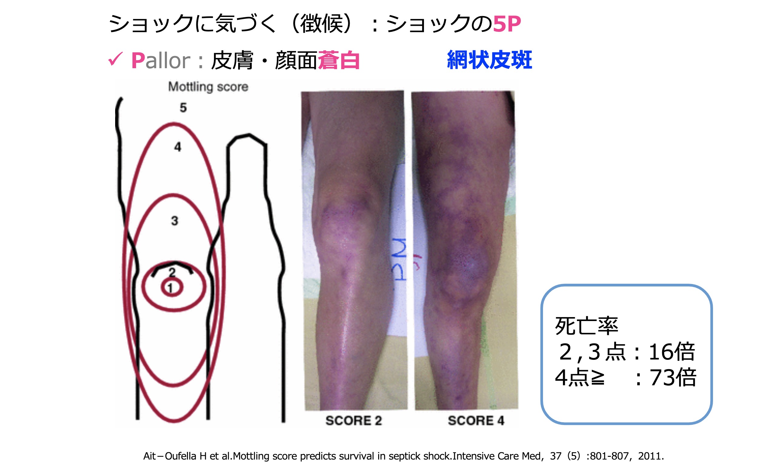 スクリーンショット 2021-02-21 23.47.37 | 訪問看護経営マガジン